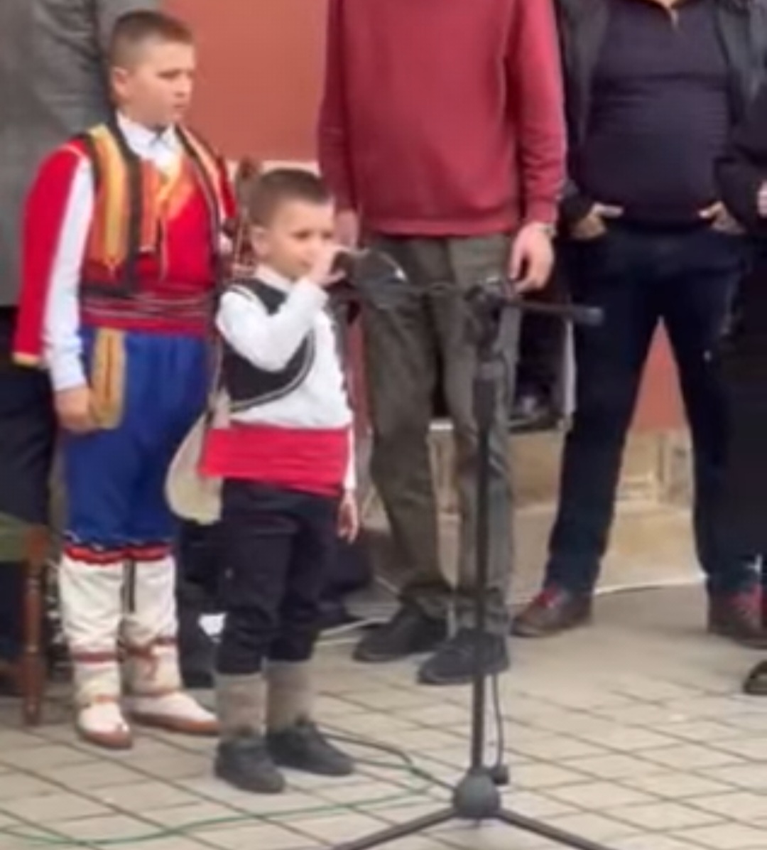 Zdravicar albijanic.jpg (182 KB)