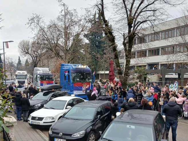 bileca badnjak.jpg (116 KB)