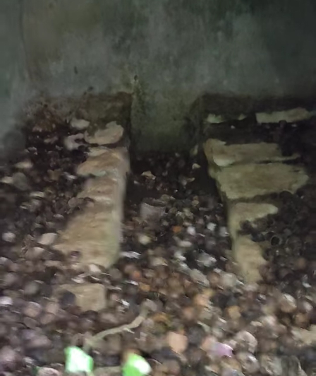 Pecina krs mosti sveti vasilije1.jpg (195 KB)