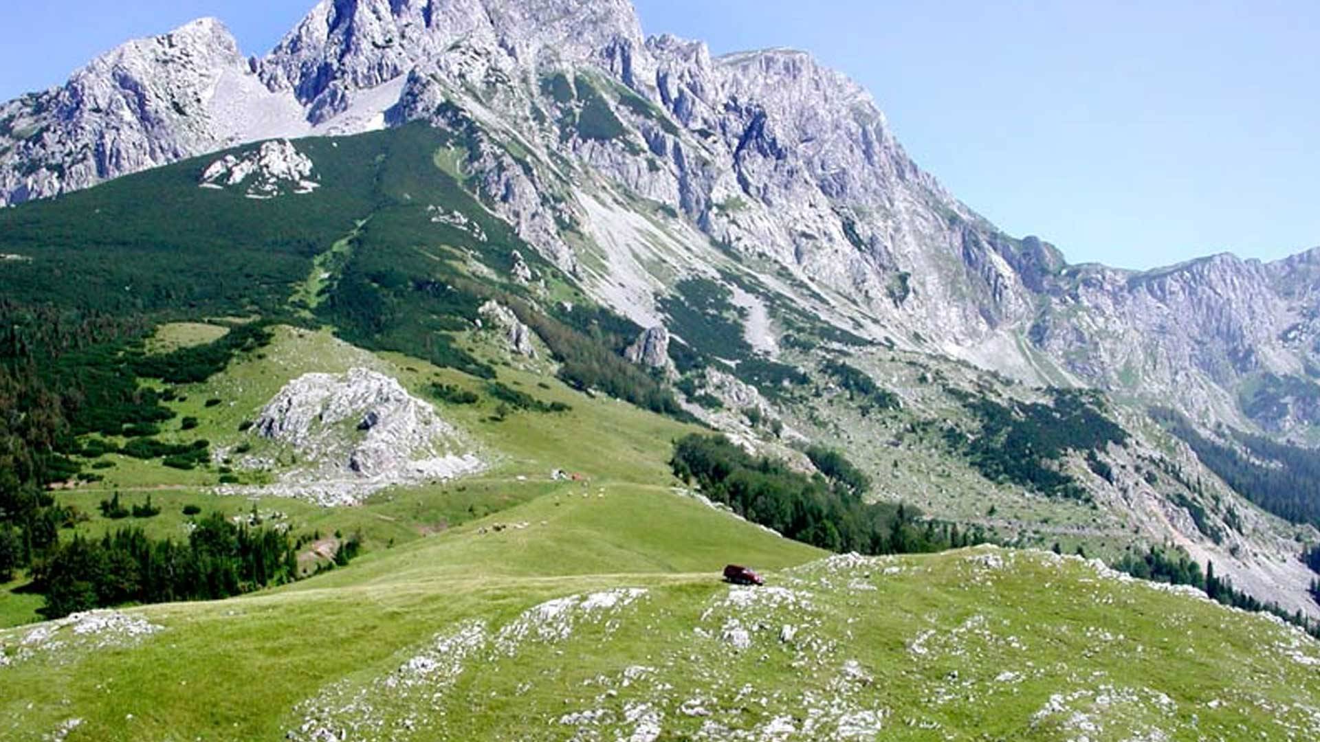 planina-ilustracija.jpg (264 KB)