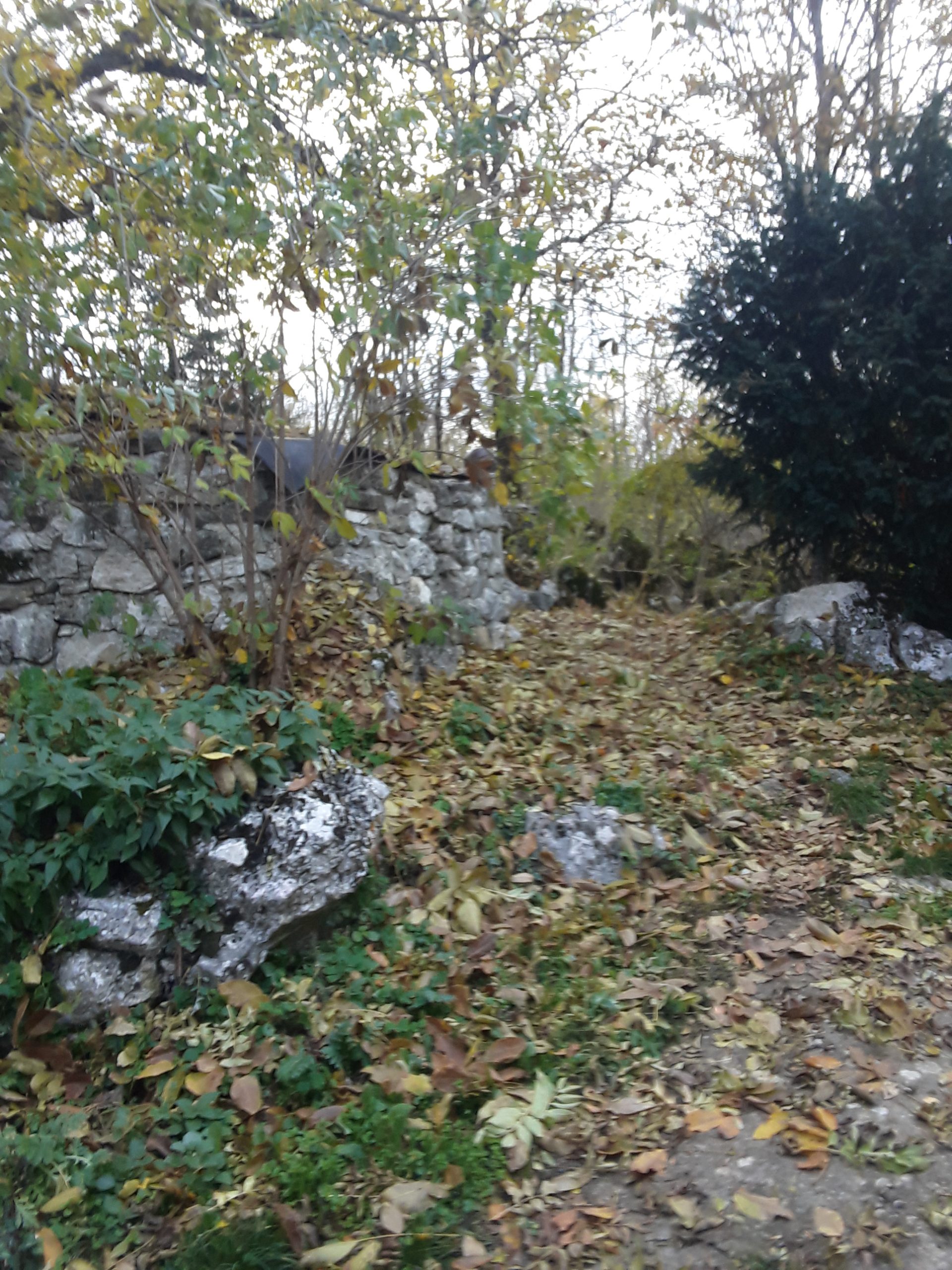 20251030_155028-scaled.jpg (838 KB)